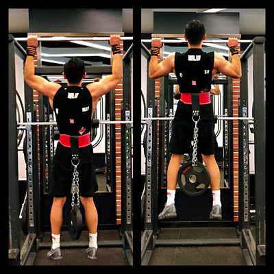 Weight Lifting Belt